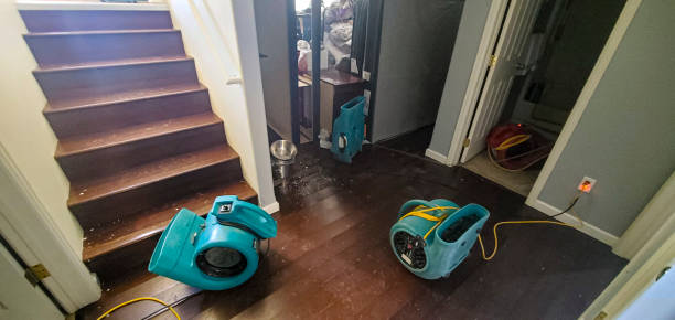 Best Water damage cleanup near me  in Tuscarawas, OH