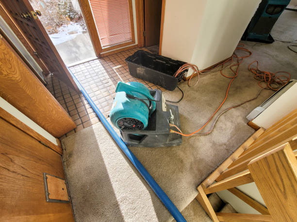 Best Water damage cleanup near me  in Tuscarawas, OH