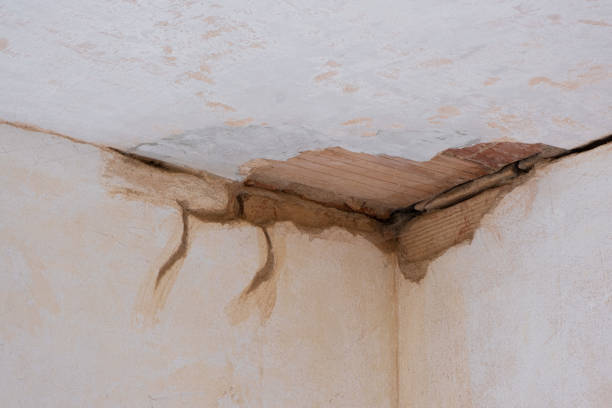 Best Carpet water damage restoration  in Tuscarawas, OH