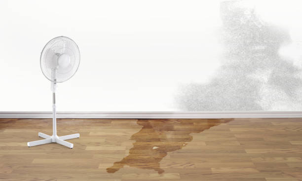  Tuscarawas, OH Water damage restoration Pros