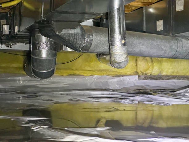 Best Water damage restoration process  in Tuscarawas, OH